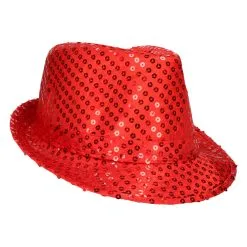 4 Het Moment Party Pet Pailletten Roze