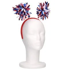 Wij Zijn Holland Geslaagd | Vlag Nederland