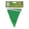 4 Het Moment Slinger “waaier Vorm” 4 Meter -Schminke Speciaalzaak Vlaggenlijn groene 12 vlaggen ca 3m