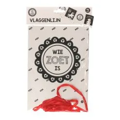 4 Het Moment Welkom Sinterklaas Vlaggenlijn